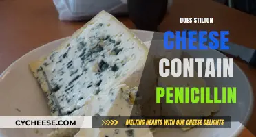Does Stilton Cheese Contain Penicillin? Unraveling the Moldy Mystery