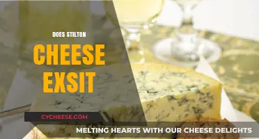 Does Stilton Cheese Exist? Unraveling the Mystery of This Classic Blue Cheese
