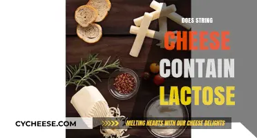 Does String Cheese Contain Lactose? Unraveling the Dairy Dilemma