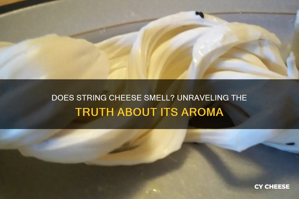 does string cheese smell