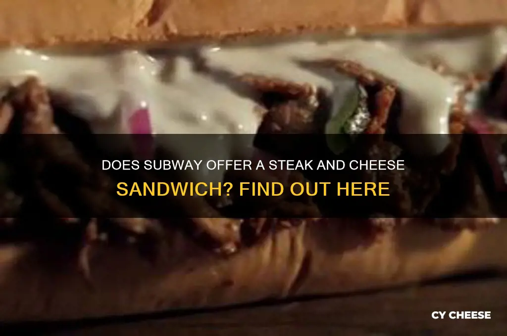 does subway have a steak and cheese sandwich