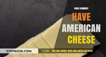 Does Subway Offer American Cheese? A Complete Menu Breakdown