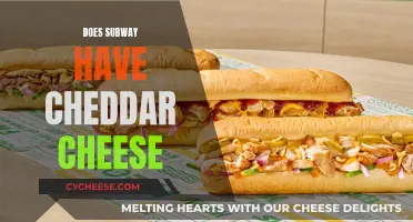 Subway's Cheddar Cheese: A Tasty, Healthy Option? | CyCheese