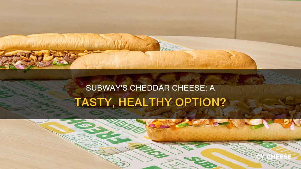 Subway's Cheddar Cheese: A Tasty, Healthy Option? | CyCheese