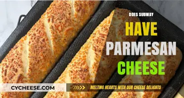 Subway's Parmesan Cheese: What You Need to Know