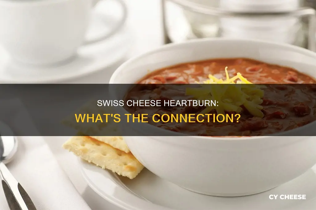does swiss cheese cause heartburn