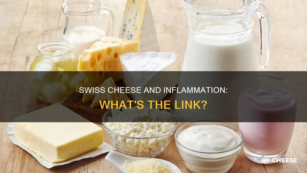 does swiss cheese cause inflammation