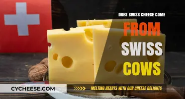 Swiss Cheese: Swiss Cows or Not?