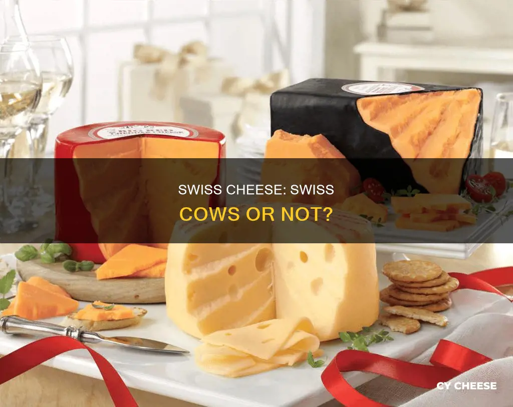 does swiss cheese come from swiss cows