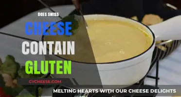 Gluten-Free Swiss Cheese: What You Need to Know