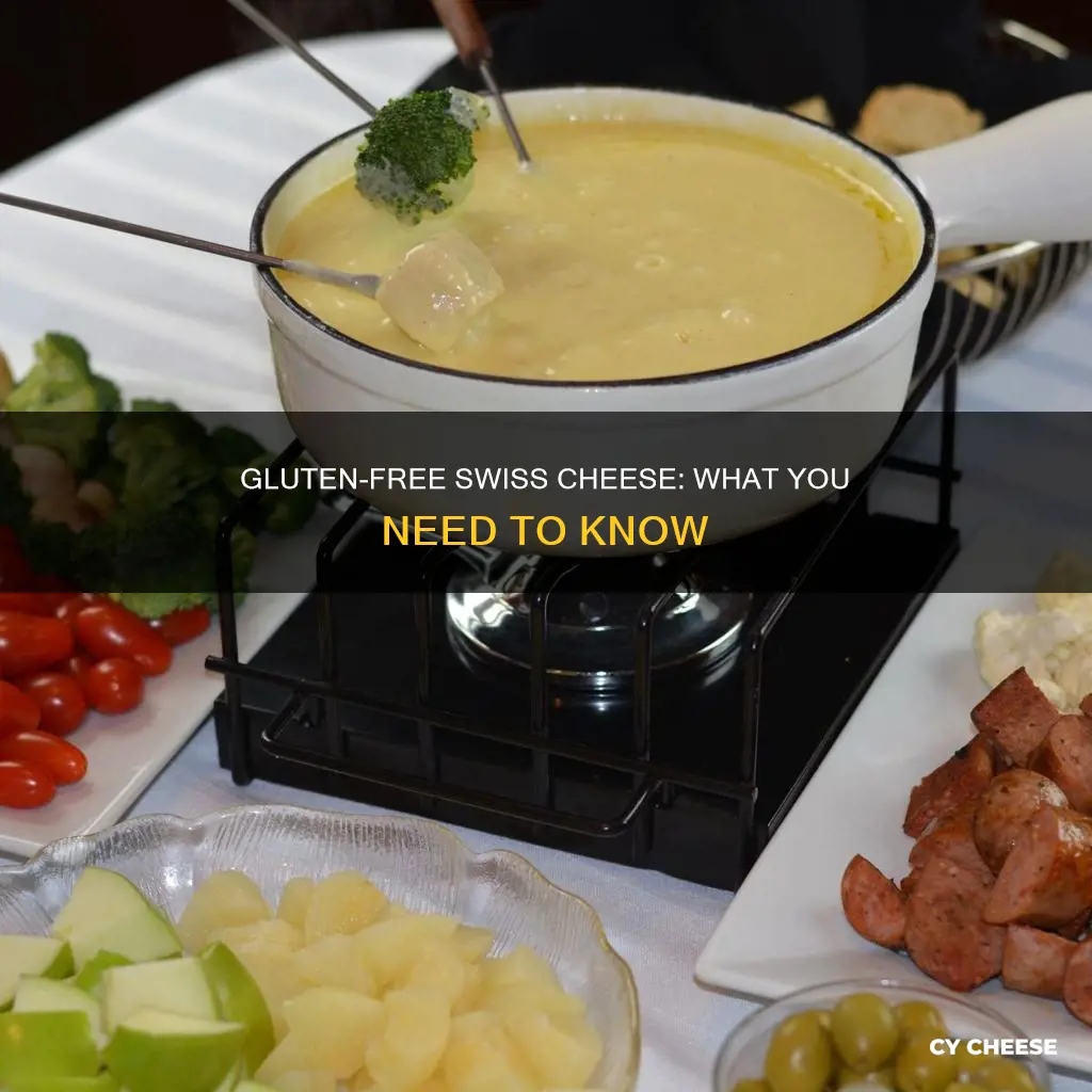 does swiss cheese contain gluten