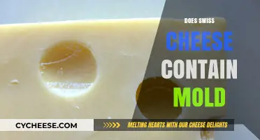 Swiss Cheese and Mold: What's the Connection?