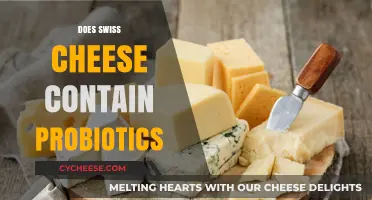 Swiss Cheese and Probiotics: A Healthy Match?
