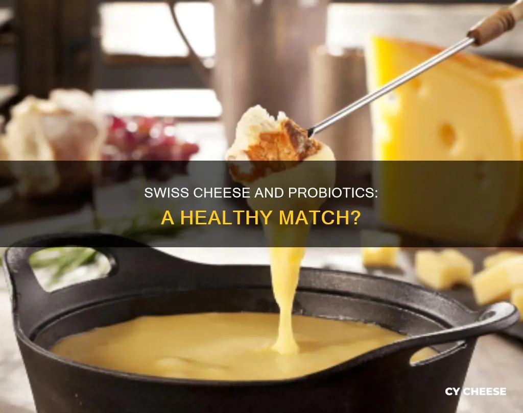 does swiss cheese contain probiotics