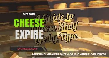 Swiss Cheese Expiry: How Long Does it Last?
