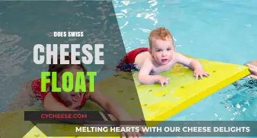 Swiss Cheese: Why It Floats
