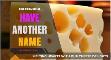 Swiss Cheese: What's in a Name?
