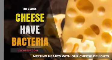 Swiss Cheese: Bacteria's Best Friend or Foe?