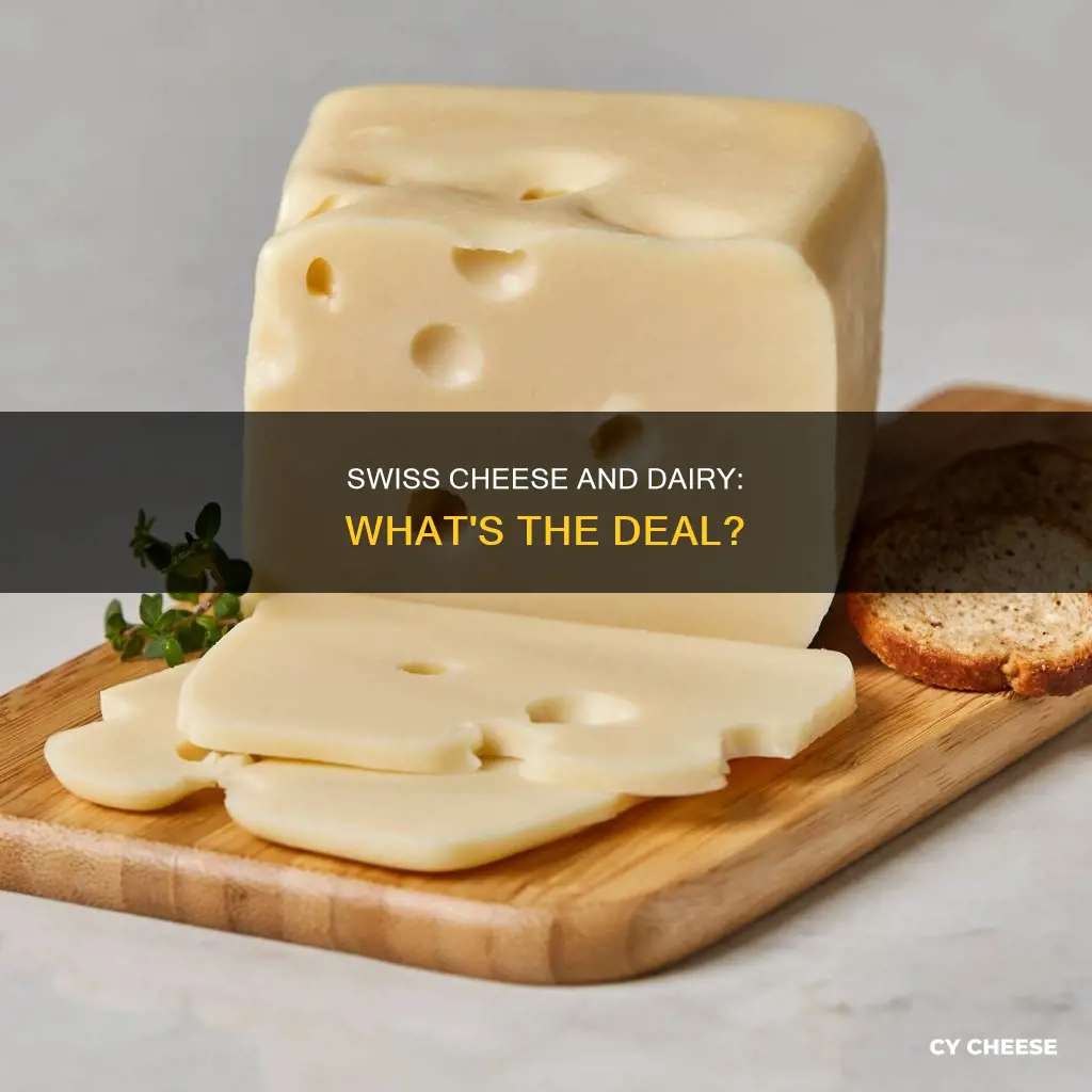 does swiss cheese have dairy