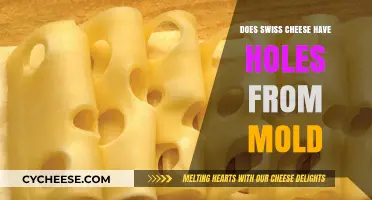 Swiss Cheese Holes: Mold or Not?