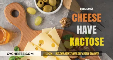 Swiss Cheese and Lactose: What's the Deal?