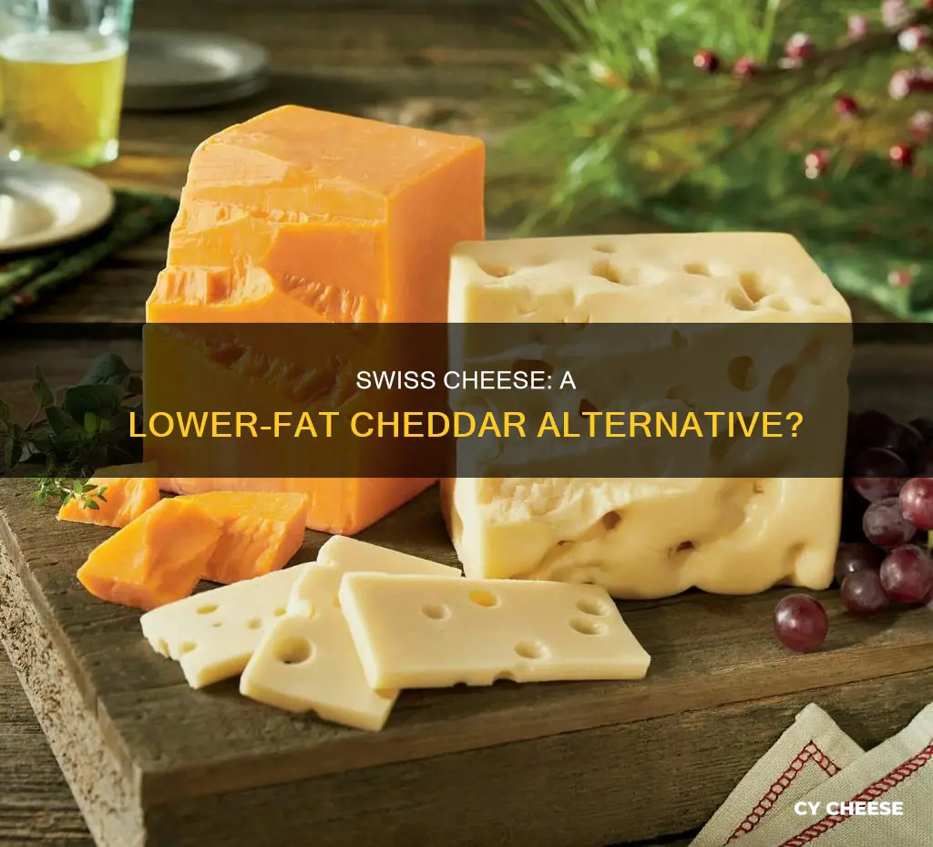 does swiss cheese have less fat than cheddar