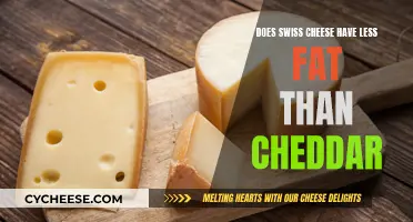 Swiss Cheese vs Cheddar: Battle of the Fats