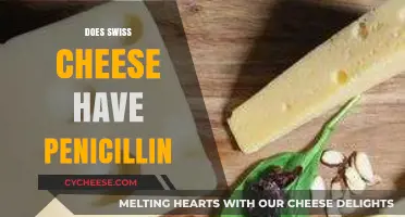 Swiss Cheese and Penicillin: What's the Connection?