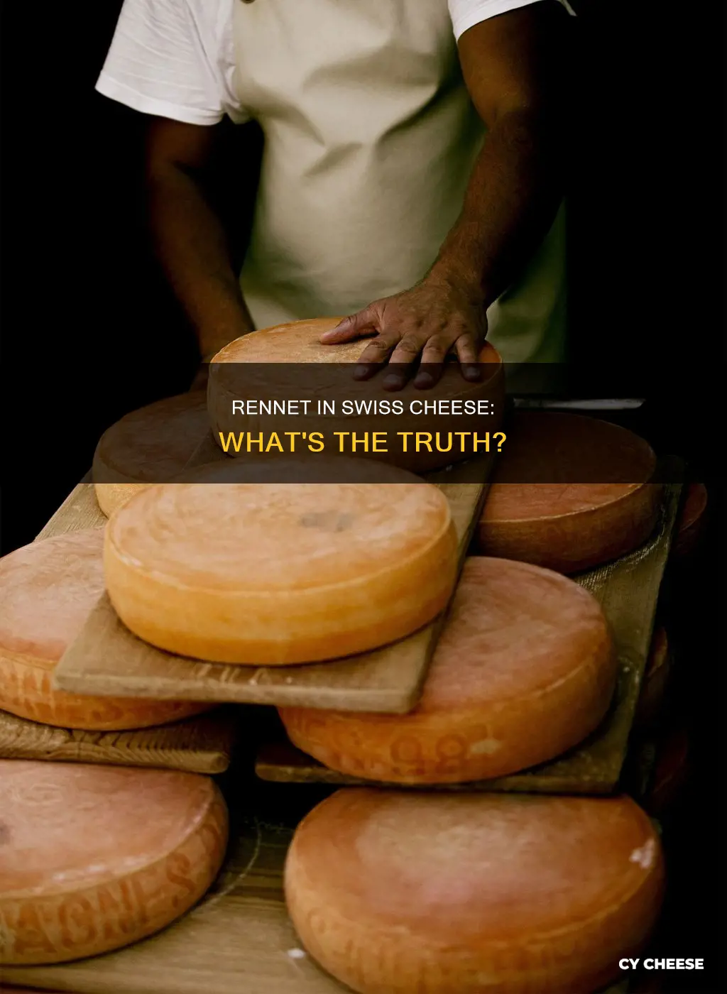 does swiss cheese have rennet