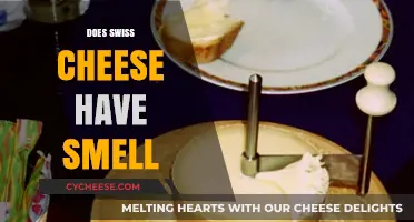 Swiss Cheese: Does It Smell?