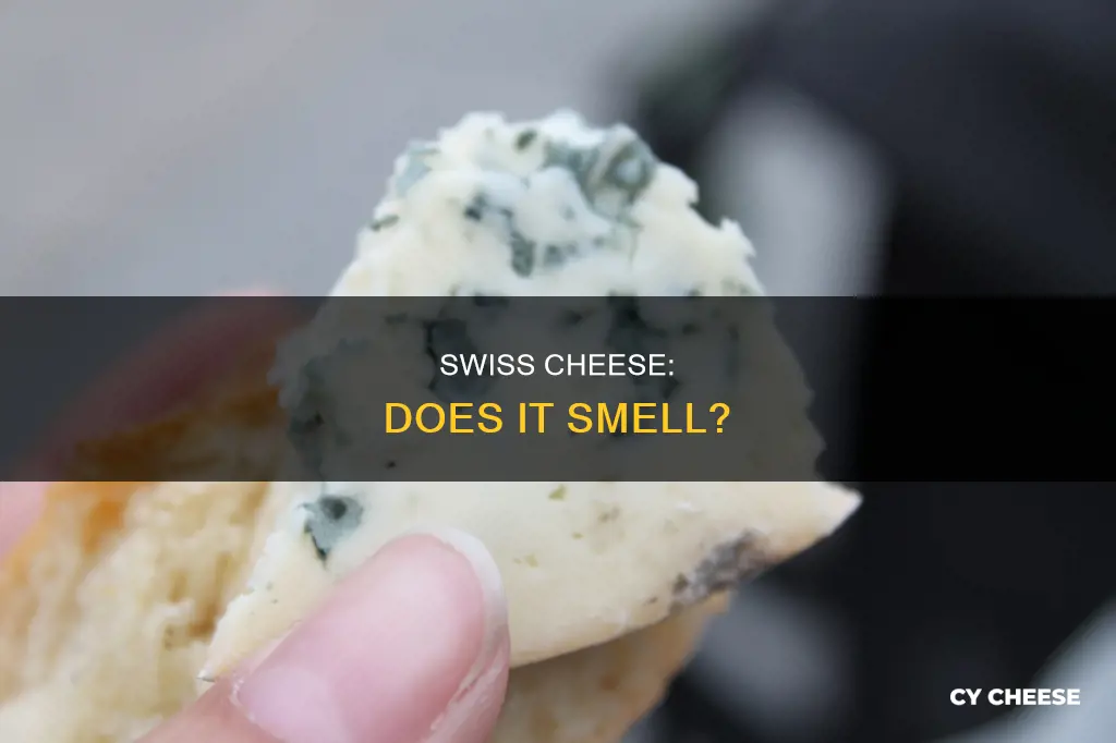 does swiss cheese have smell