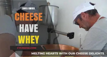 Swiss Cheese and Whey: What's the Deal?