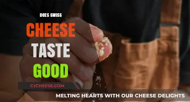 Swiss Cheese: Delicious or Disgusting?