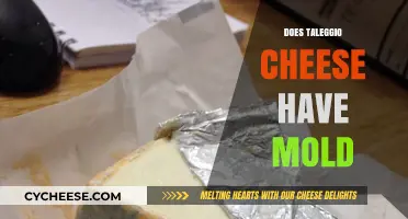Does Taleggio Cheese Have Mold? Uncovering the Truth Behind Its Rind