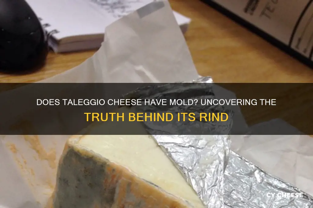 does taleggio cheese have mold