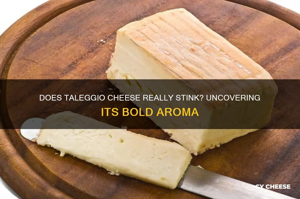 does taleggio cheese stink