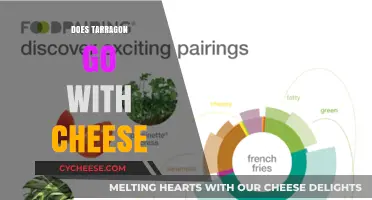 Tarragon and Cheese: A Flavorful Match Made in Culinary Heaven?