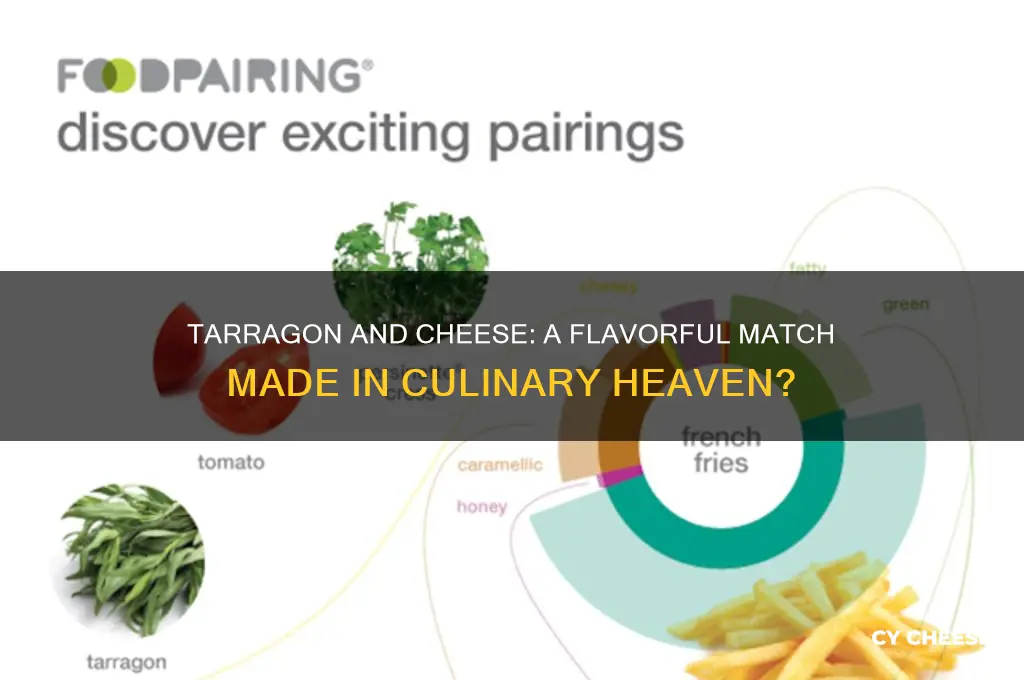 does tarragon go with cheese
