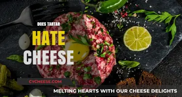 Does Tartar Hate Cheese? Unraveling the Myth and Facts