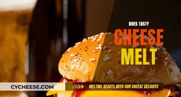 Cheese Melting: Taste and Texture Science