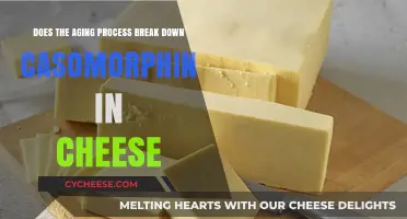 Aging Cheese: Does Time Break Down Casomorphins? Exploring the Science