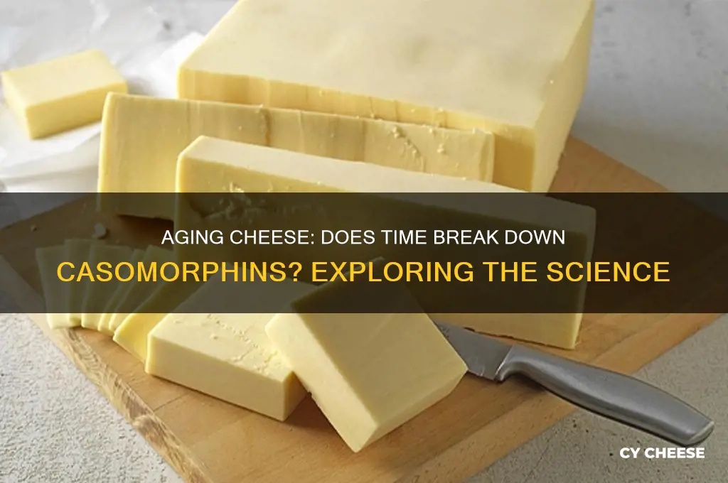 does the aging process break down casomorphin in cheese