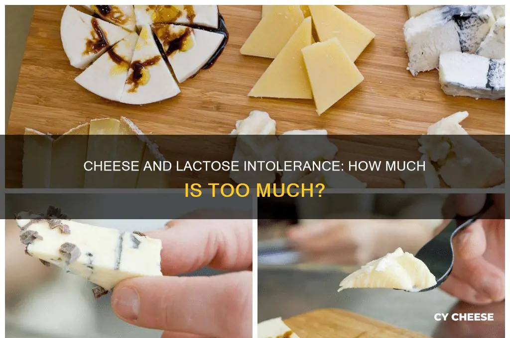 does the amount of cheese affect lactose intolerance