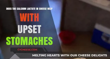 Calcium Lactate in Cheese: A Natural Remedy for Upset Stomachs?