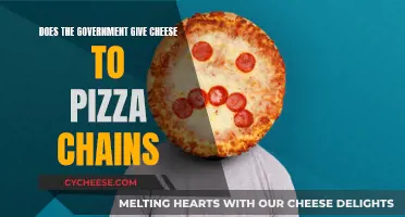 Government's Role in Pizza's Topping: A Cheesy Tale