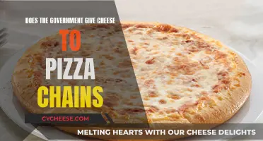 Government Cheese: A Slice of the Pizza Industry