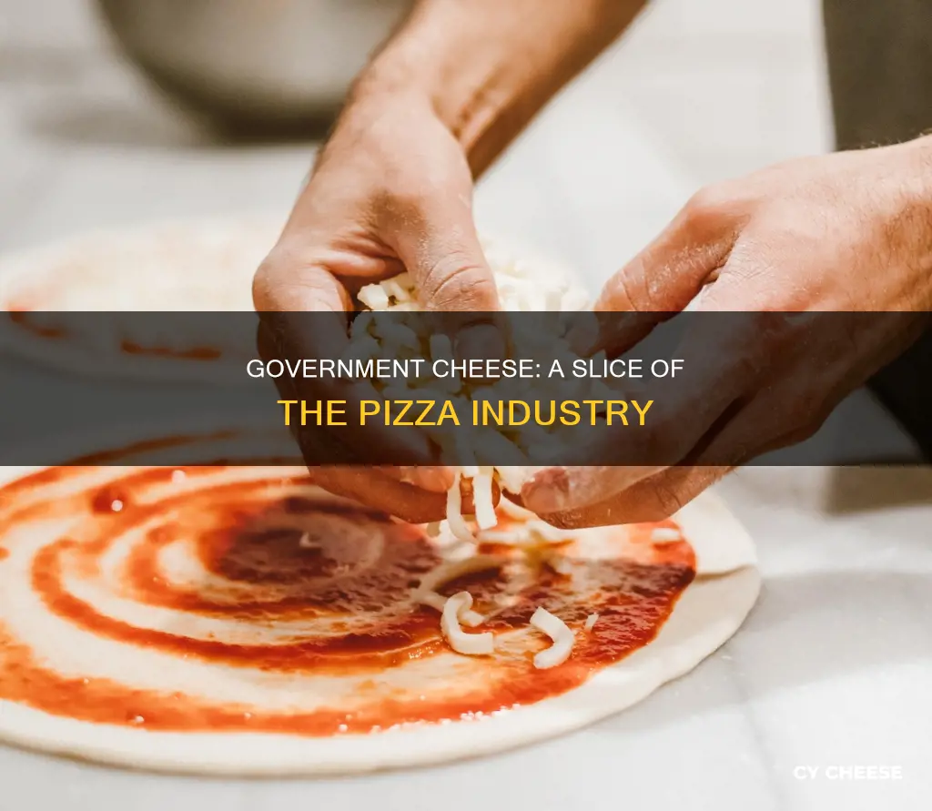 does the government give cheese to pizza chains