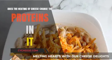 How Heating Cheese Alters Its Protein Structure: A Scientific Look