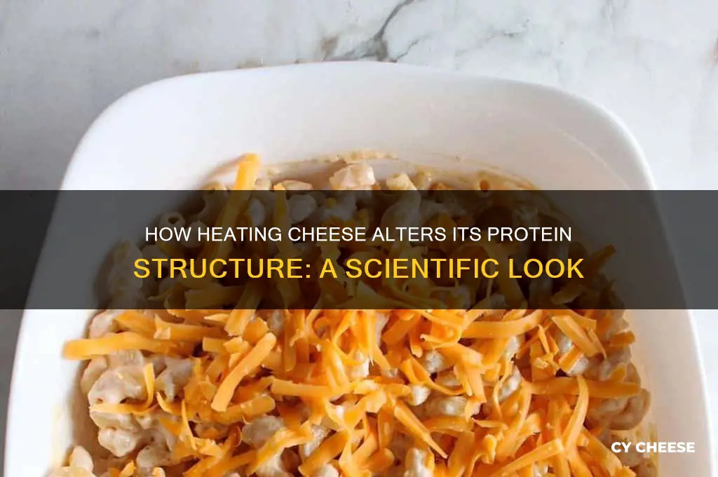 does the heating of cheese change the proteins in it