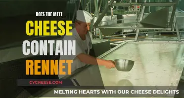 Cheese Connoisseurs: Rennet's Role in Melty Goodness